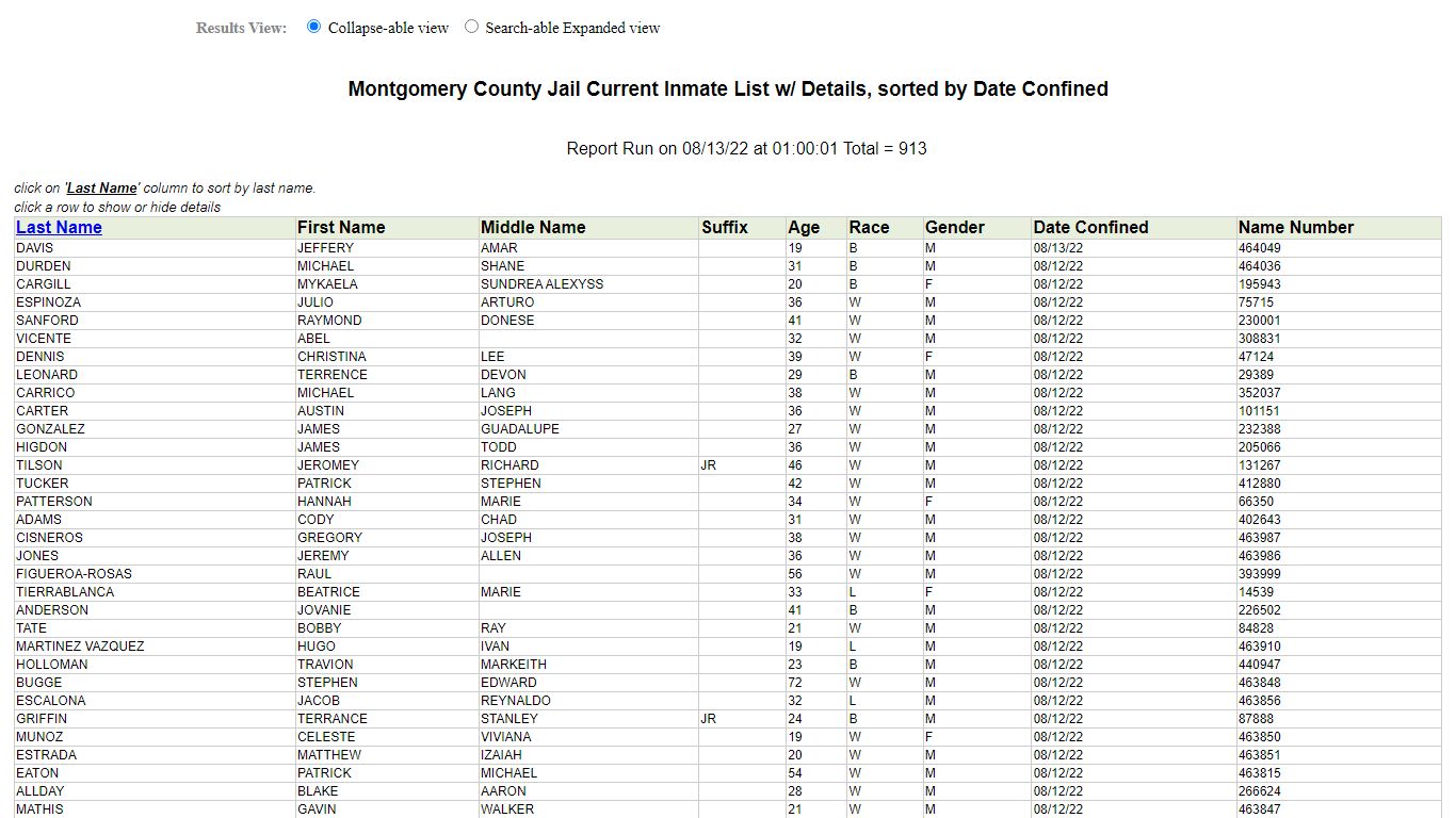 Jail Roster